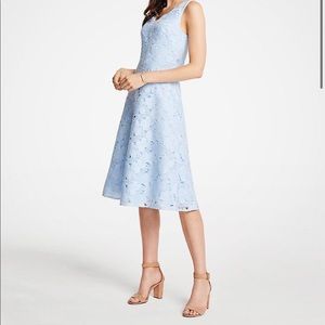 Ann Taylor - Floral Lace flare dress